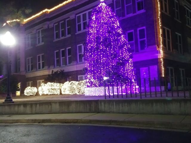 Photo of Stephen F Austin State University