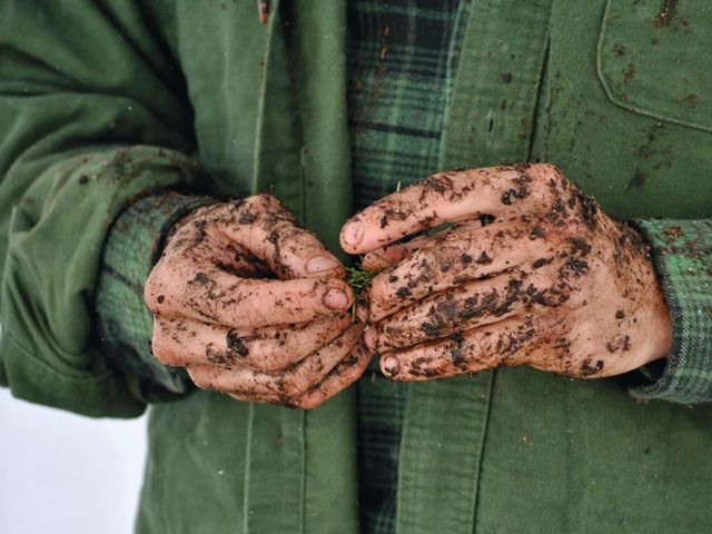 Photo of Sterling College