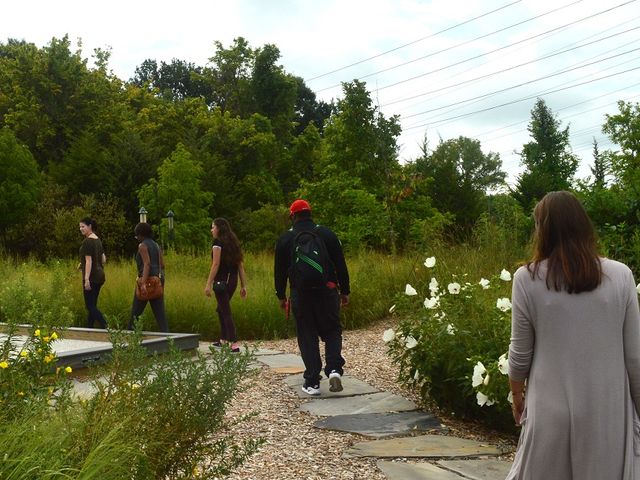 Photo of Stevens-The Institute of Business & Arts