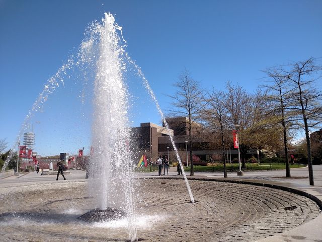 Photo of Stony Brook University