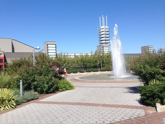 Photo of Stony Brook University