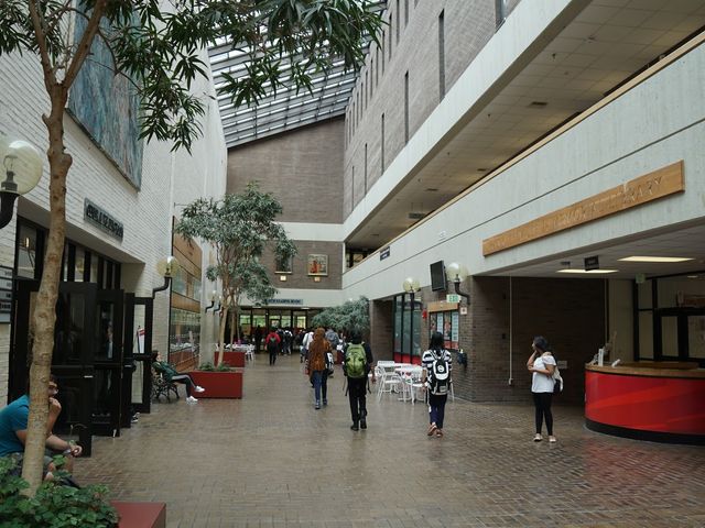 Photo of Stony Brook University