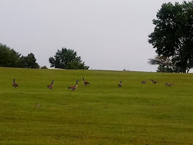 Photo of Sullivan County Community College