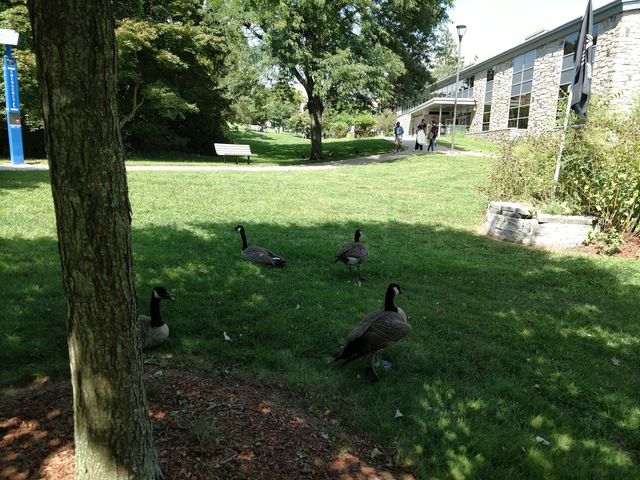 Photo of SUNY Westchester Community College