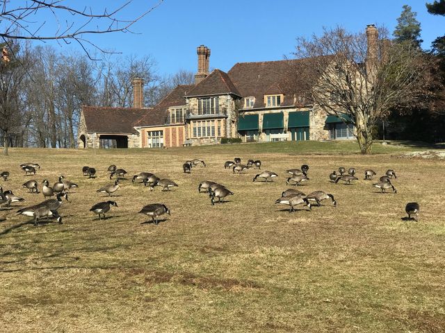 Photo of SUNY Westchester Community College