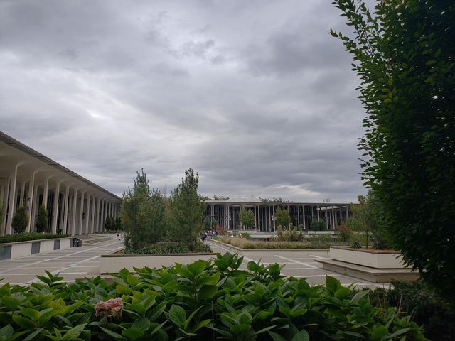 Photo of SUNY at Albany