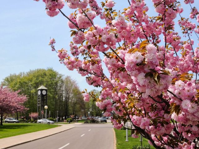 Photo of SUNY at Fredonia