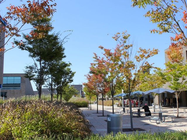 Photo of SUNY at Purchase College
