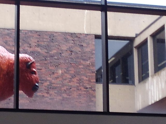 Photo of SUNY Buffalo State