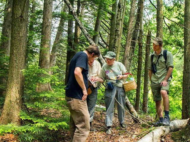 Photo of SUNY College of Environmental Science and Forestry