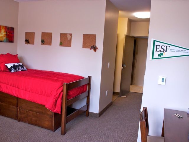 Photo of SUNY College of Environmental Science and Forestry