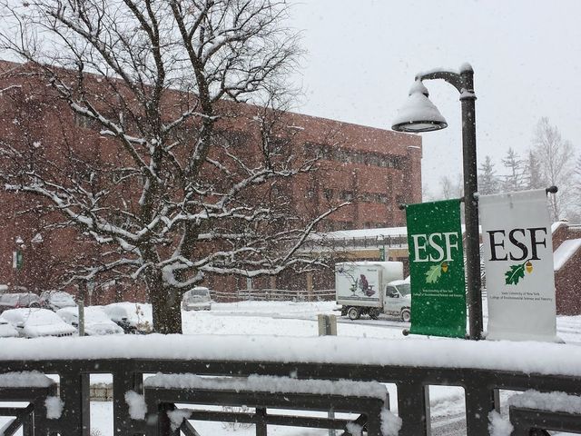 Photo of SUNY College of Environmental Science and Forestry