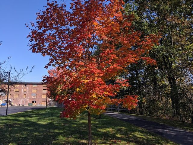 Photo of SUNY College at Plattsburgh
