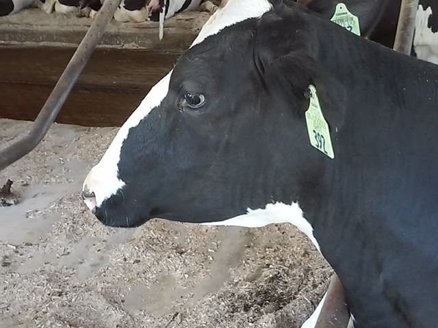 Photo of SUNY Morrisville