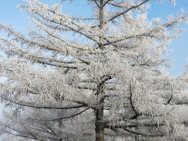 Photo of SUNY Morrisville