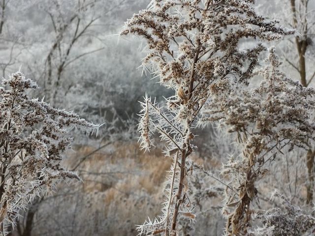 Photo of SUNY Morrisville