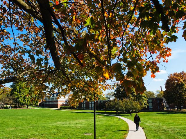 Photo of Susquehanna University