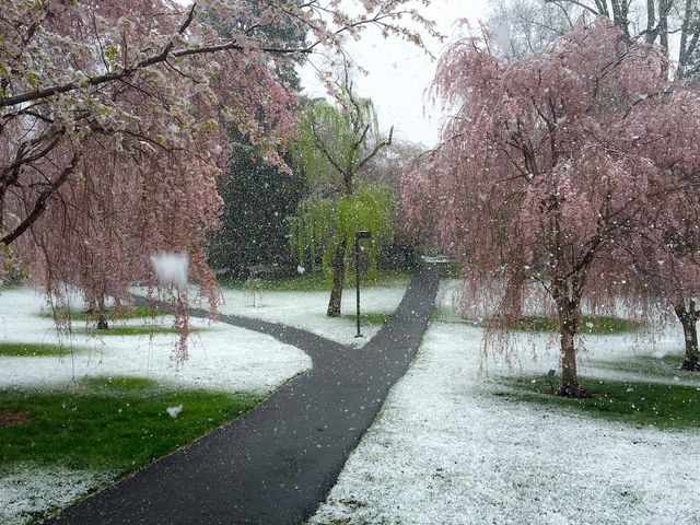 Photo of Swarthmore College