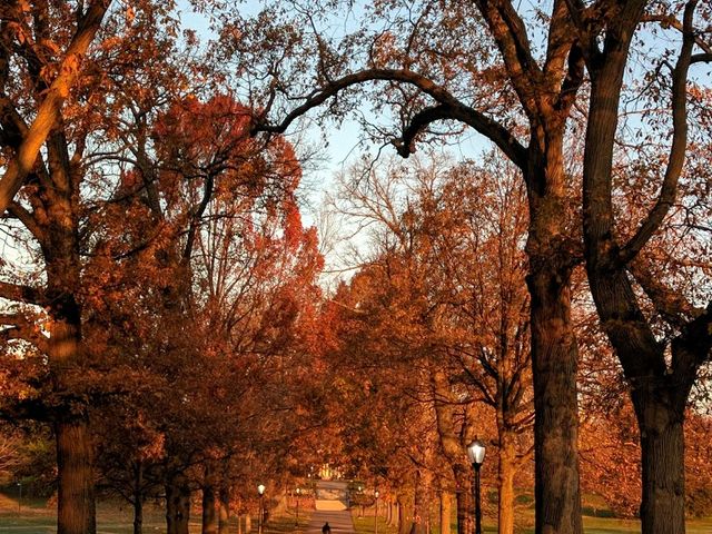 Photo of Swarthmore College