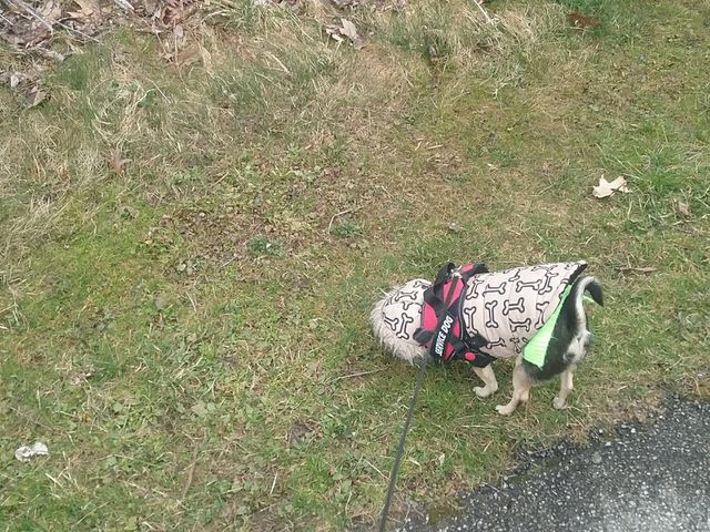 Photo of Polaris Career Center