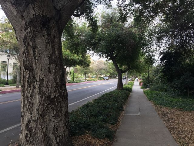 Photo of Pomona College