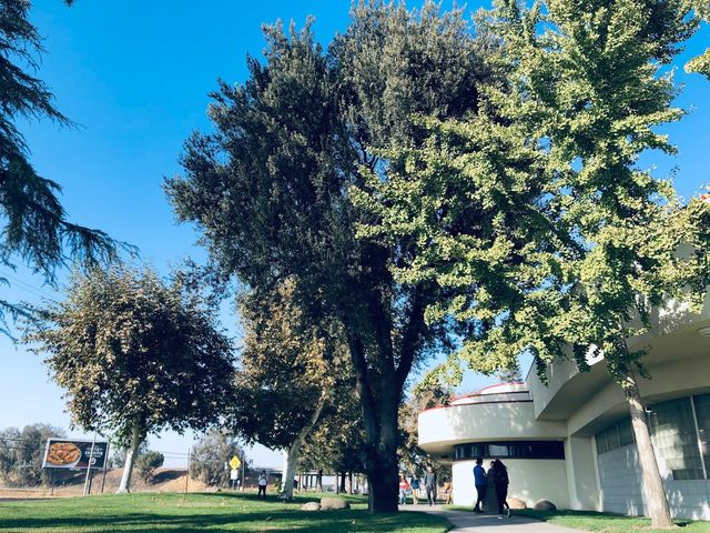 Photo of Porterville College