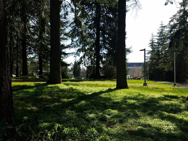 Photo of Portland Community College