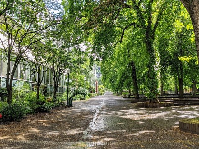 Photo of Portland State University