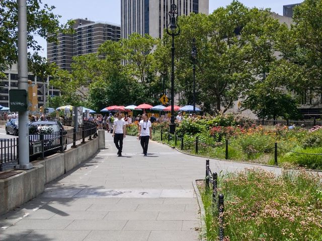 Photo of Pace University