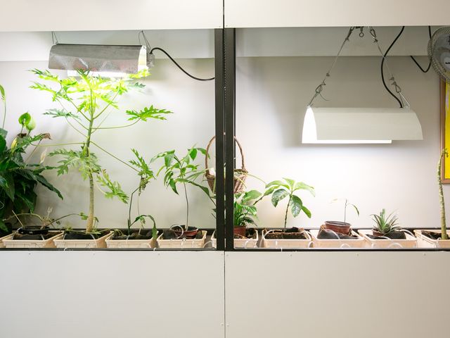 Photo of Pacific College of Oriental Medicine-New York