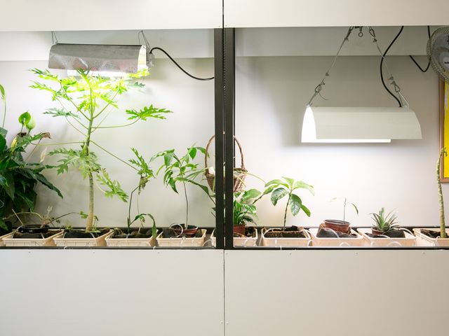 Photo of Pacific College of Oriental Medicine-San Diego