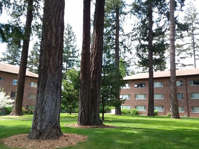 Photo of Pacific Lutheran University