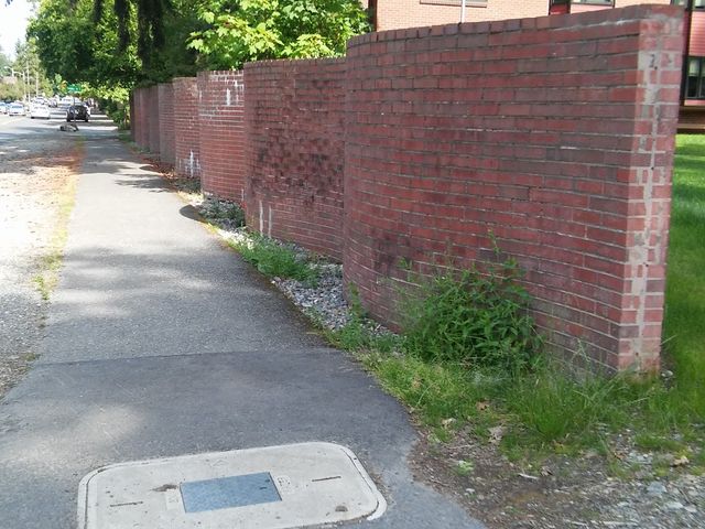 Photo of Pacific Lutheran University