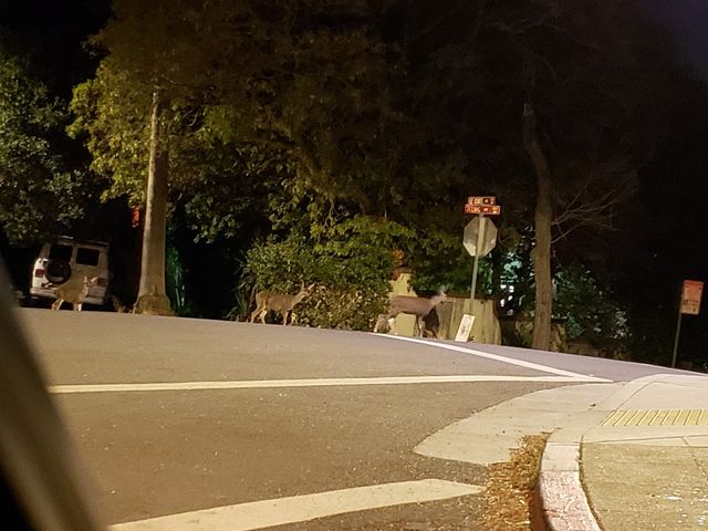 Photo of Pacific School of Religion