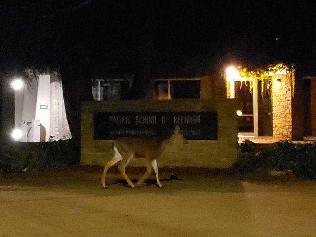 Photo of Pacific School of Religion