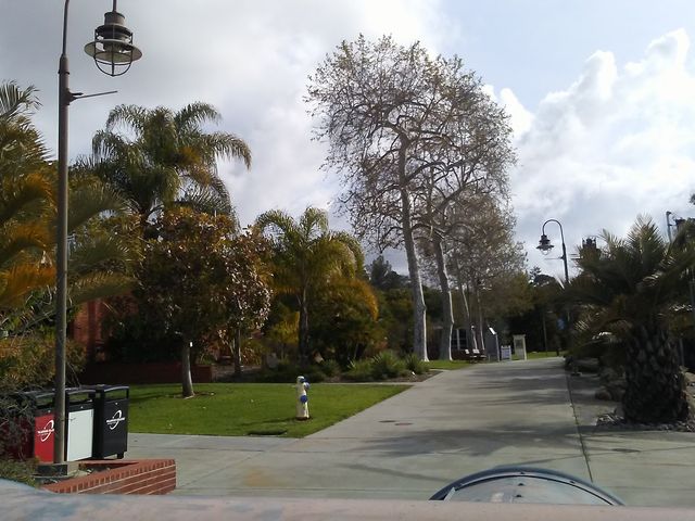 Photo of Palomar College