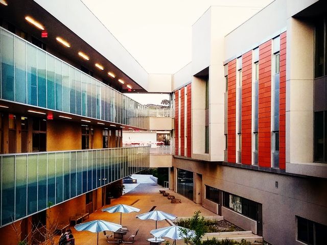 Photo of Palomar College