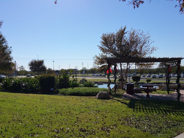 Photo of Palo Alto College