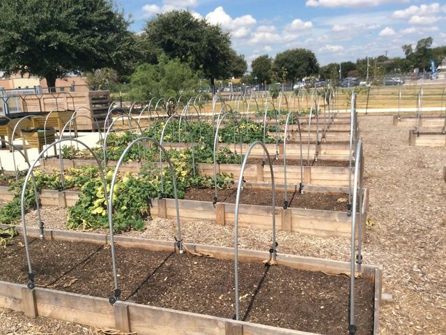 Photo of Palo Alto College