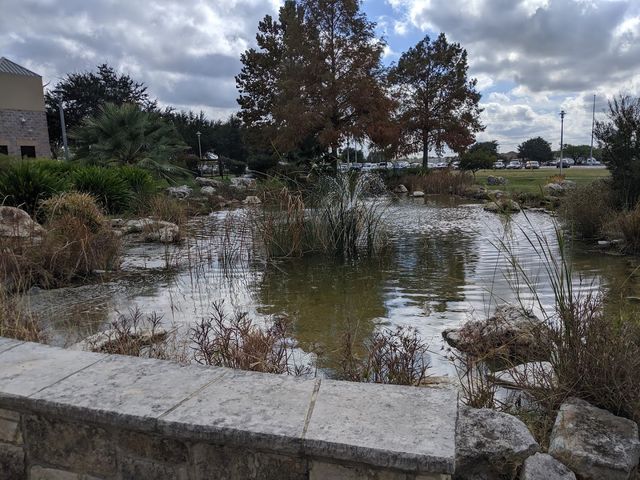 Photo of Palo Alto College