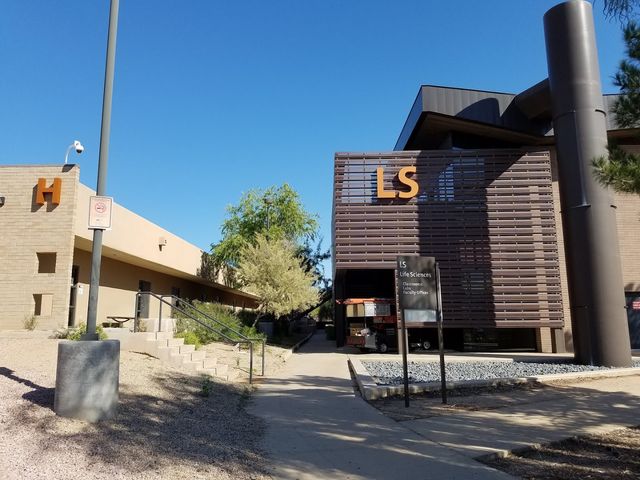 Photo of Paradise Valley Community College