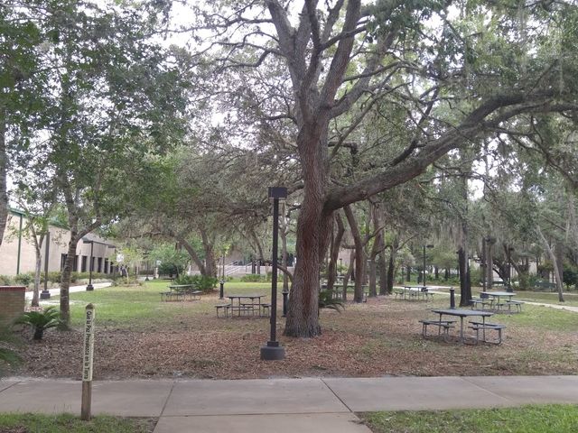 Photo of Pasco-Hernando State College