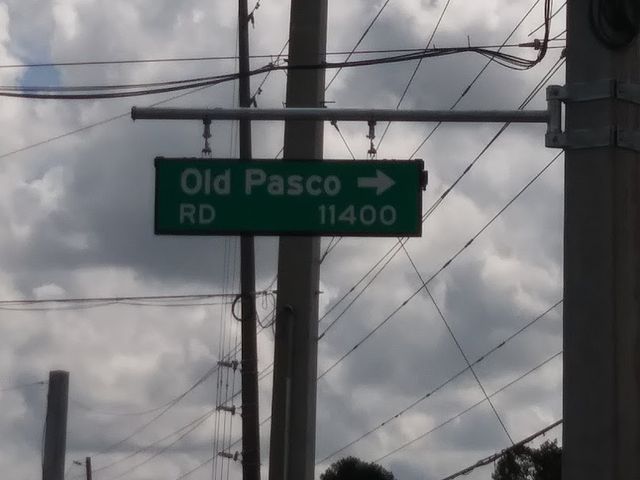 Photo of Pasco-Hernando State College