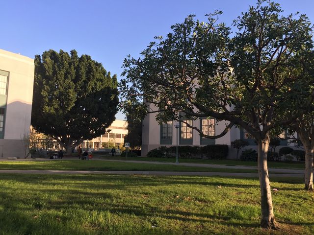 Photo of Pasadena City College