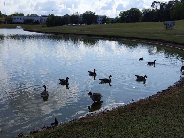 Photo of Pellissippi State Community College