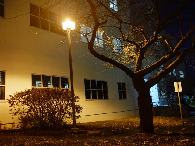 Photo of Pellissippi State Community College