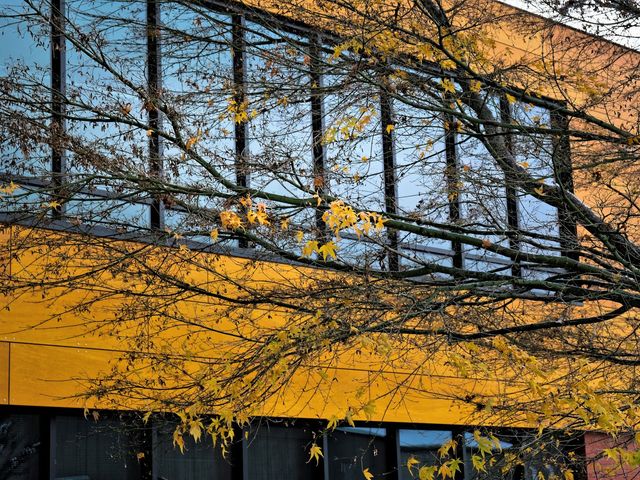 Photo of Peninsula College