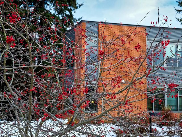 Photo of Peninsula College