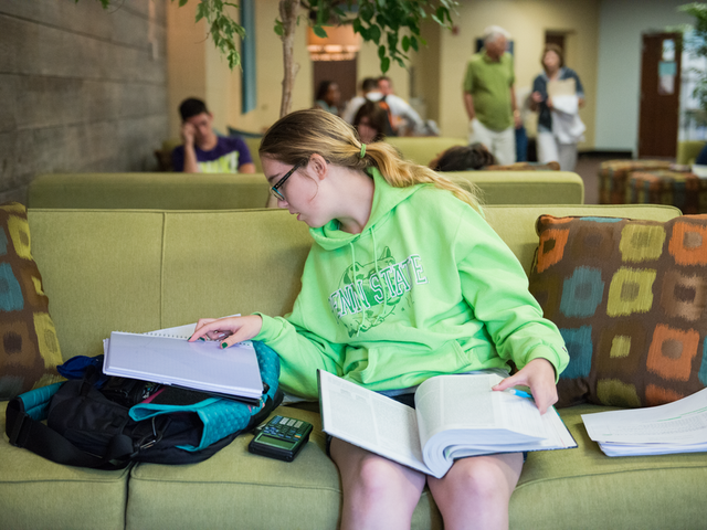 Photo of Pennsylvania State University-Penn State York