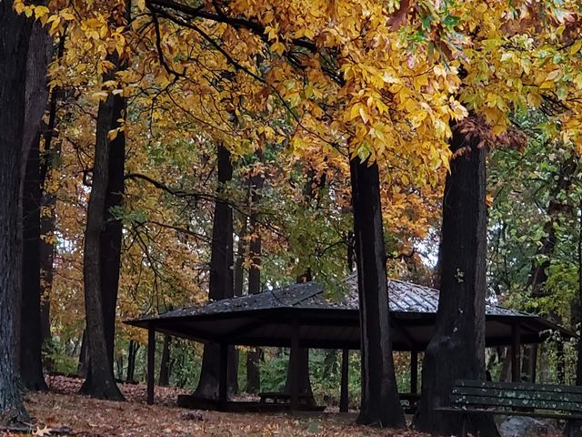 Photo of Pennsylvania State University-Penn State York